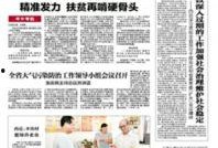 河北爆料新闻,揭开背后真相，聚焦社会热点事件