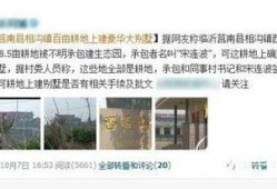 临沂三观爆料案件最新情况,案情再掀波澜，真相逐步浮出水面