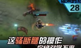 新英雄钢索爆料视频在线观看,极限跳跃，钢铁之翼翱翔天际